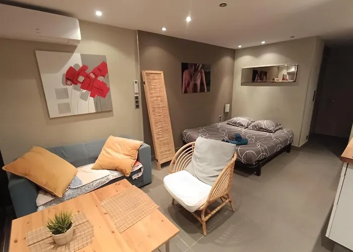 Naturiste Cap D'agde Port Vénus 212 Agde