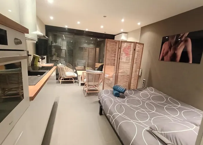 Naturiste Cap D'agde Port Vénus 212 Appartement Agde